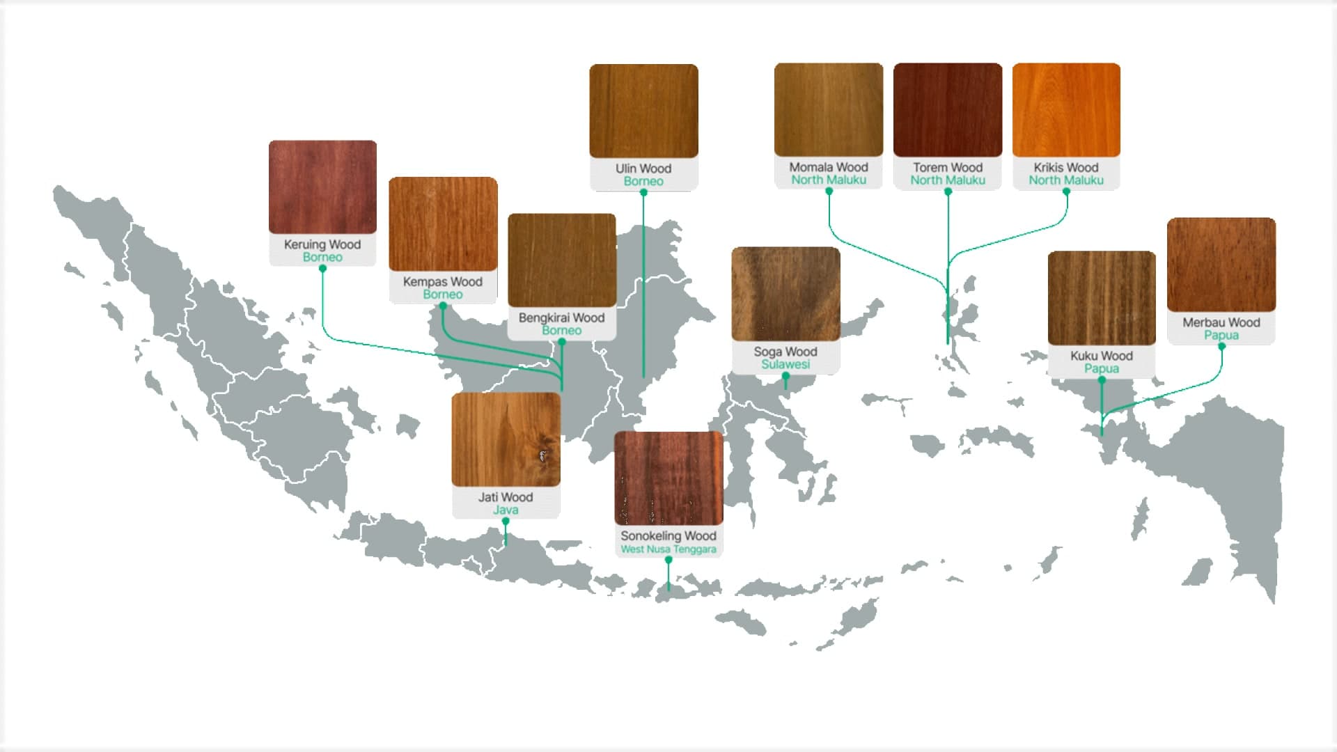 Map of Indonesia with a wood sample pinned to each region: Keruing, Kempas, Bengkirai and Ulin in Borneo, Jati in Java, Sonokeling in West Nusa Tenggara, Soga in Sulawesi, Momala, Torem and Krikis in North Maluku, Kuku and Merbau in Papua