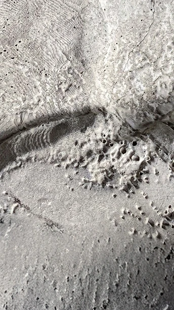 Close-up of a pale concrete surface with fingerprint ridges and small air pockets